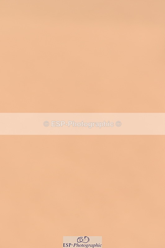 240306A-152204-01758 - Cls 5 Foxhunter and 1.20m Open