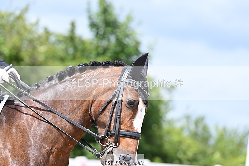 240622A-124953-10270 - Cls 30 BD Elementary 53