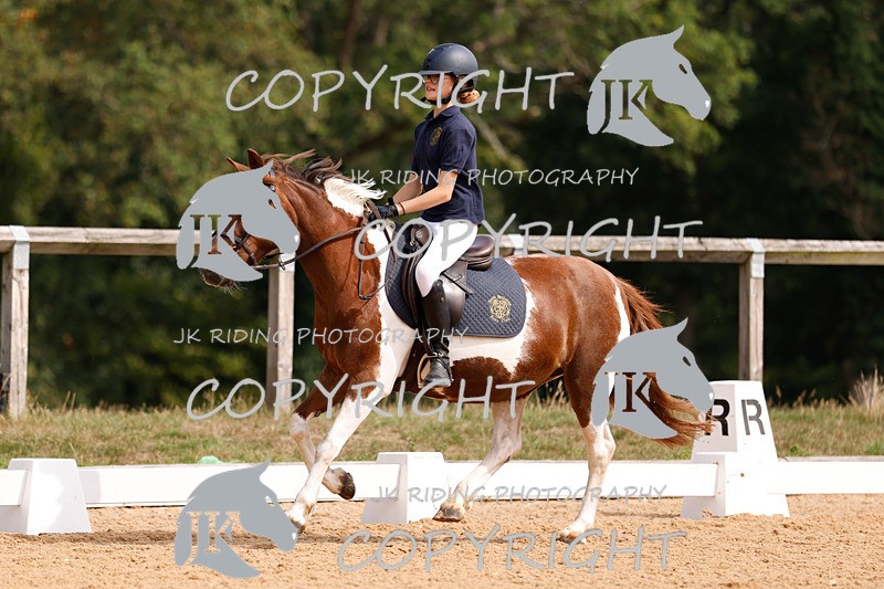 _R6A2331 - Dressage Morning
