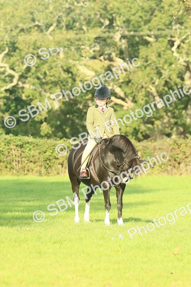 SBM_59176 - S38 - Starters Ridden Showing