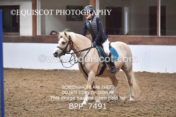 BPP_7491 - 40CM WORKING HUNTER