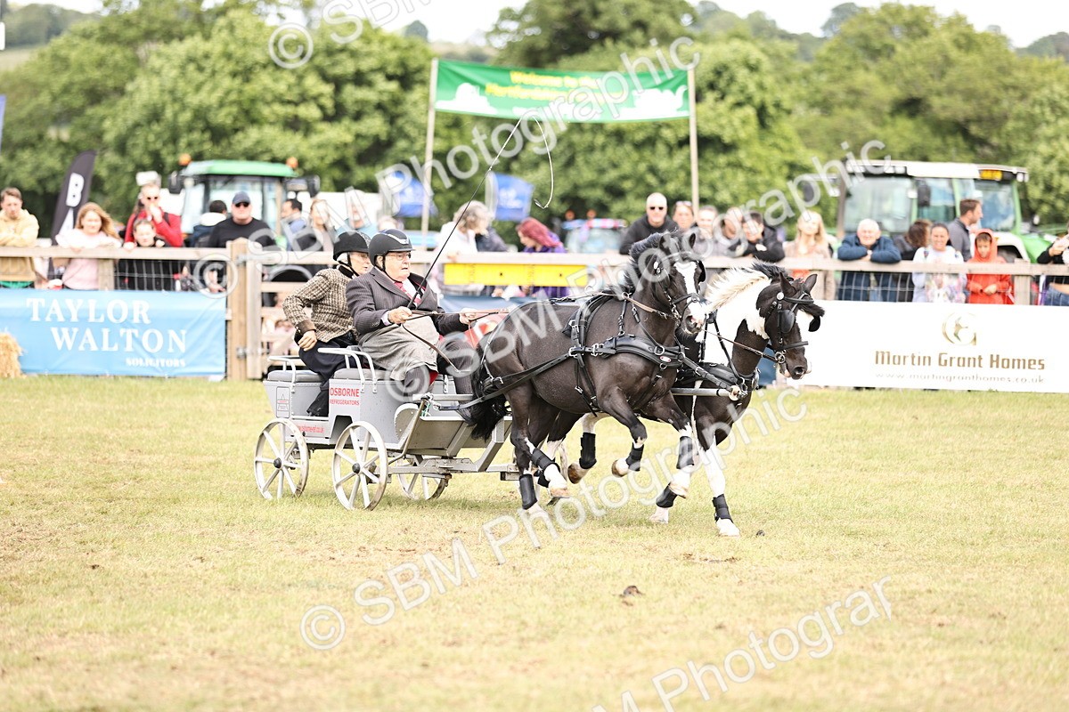 SBM_16078 - Class 91 - Scurry  exceeding 122cms