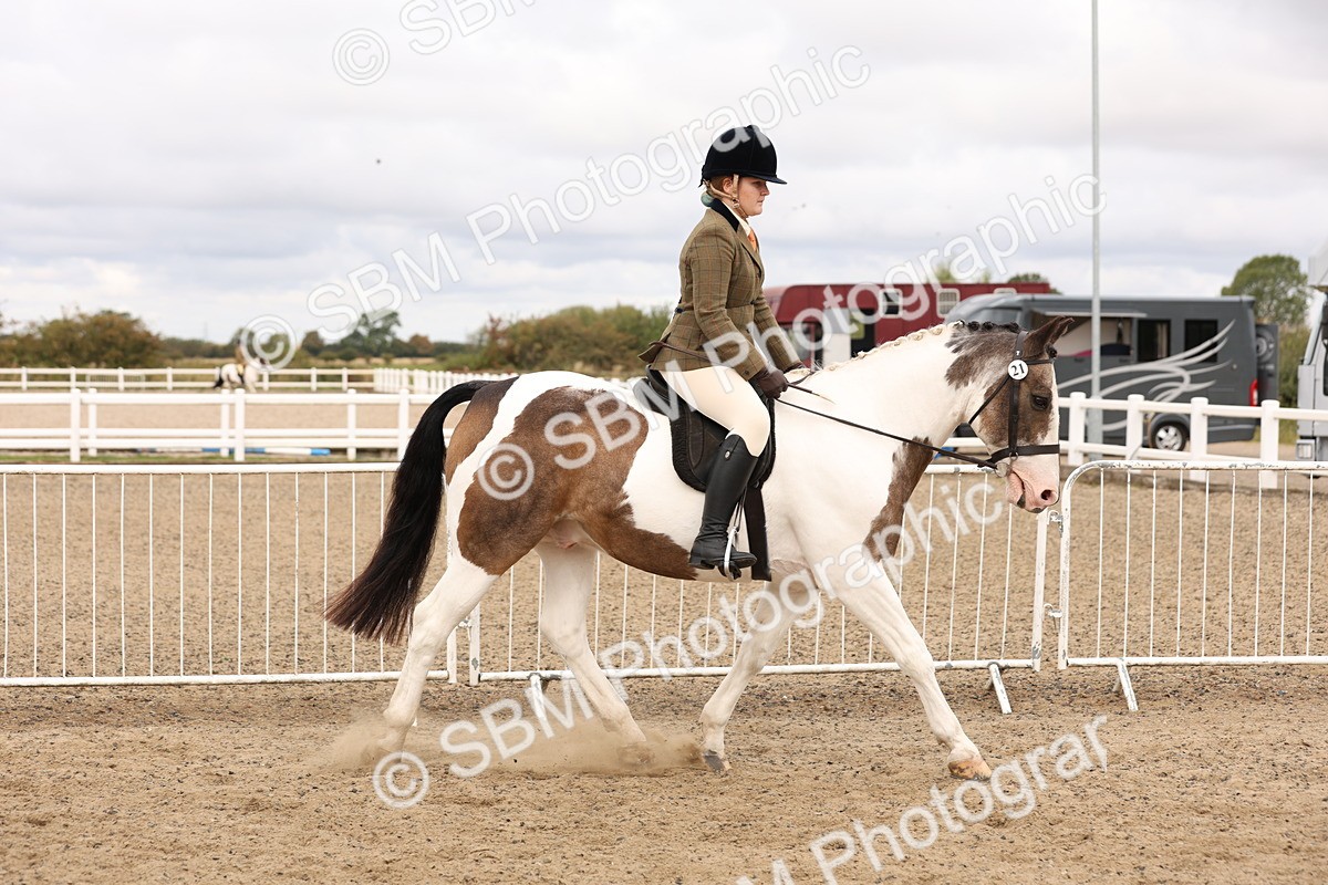SBM_02791 - Class 53 - Ridden Competition Horse/Pony