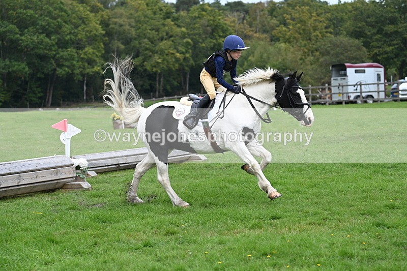 WJ7_4258 - 60cm Time 10:52 to 11:02