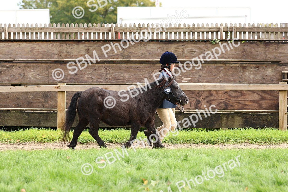 SBM_40729 - S25 -  Veteran In Hand