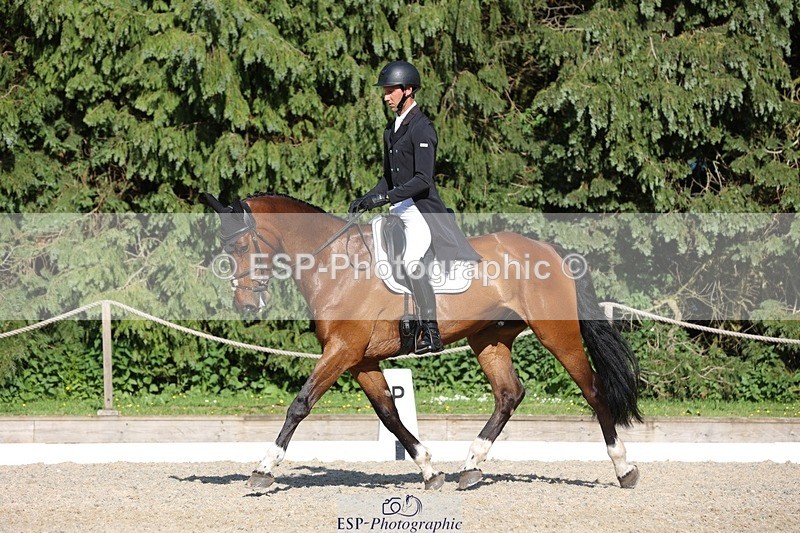 230526-174050-08006 - 180-GUEULE_DE_REVE-Arthur_Duffort-WEDTrotUp+DR