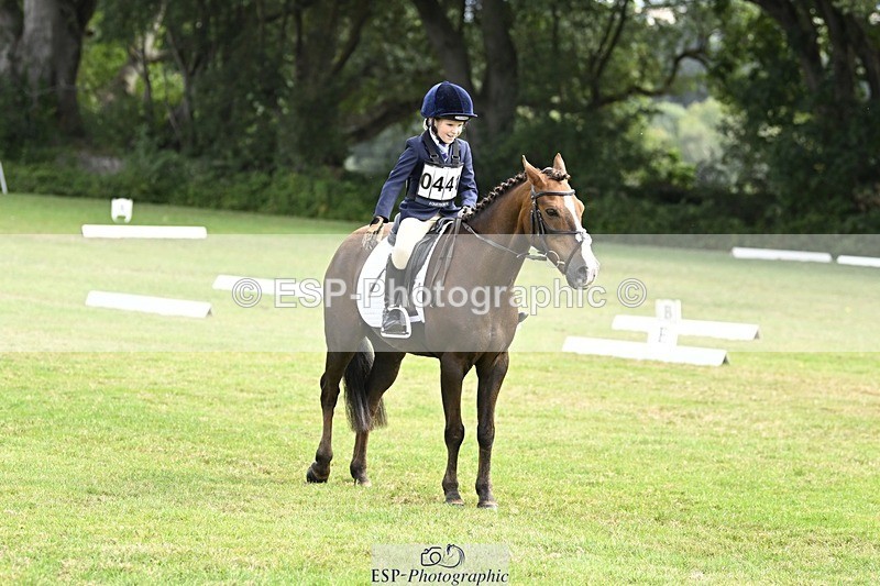 250821A-101951-14263 - DR 10.00 to 11.00