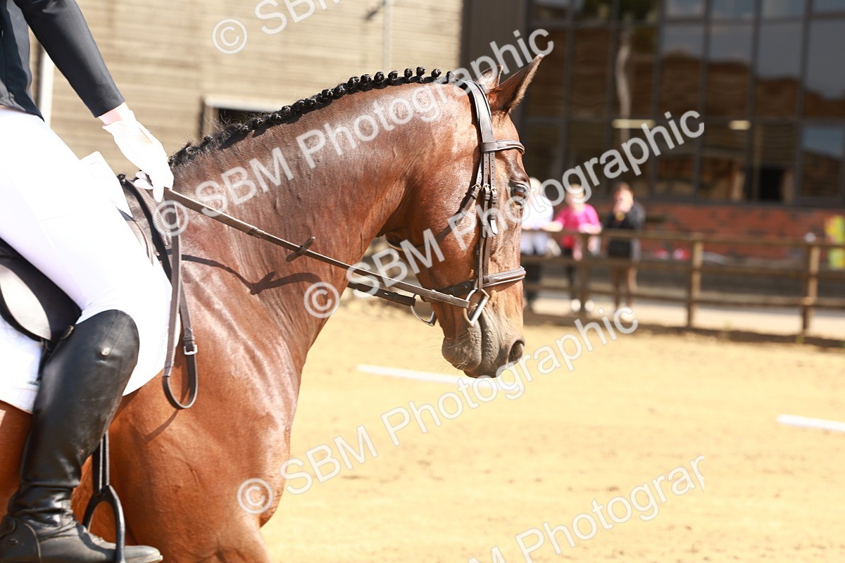 SBM_000044 - Class 1 - Intro 2