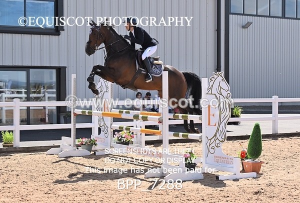 BPP_7288 - CLASS 14 FRI Nupafeeds Senior Dicovery/1m open