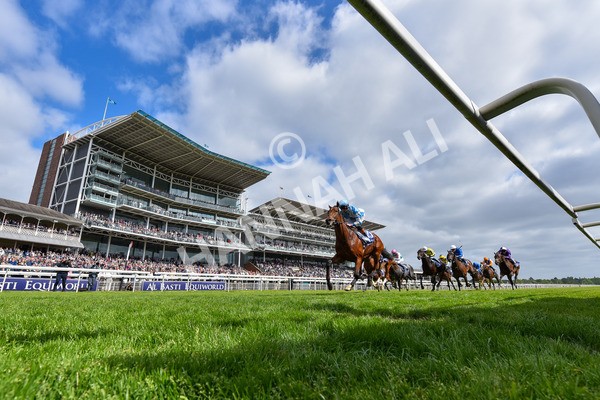 150525-Pride Of Arras-2412 - Race 4 3.45pm Al Basti Equiworld Dubai Dante Stakes
