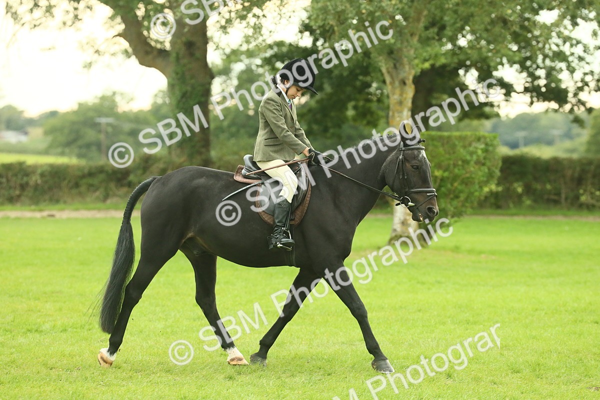 SBM_73920 - S 61 - Show Pony & Show Hunter Pony Ridden