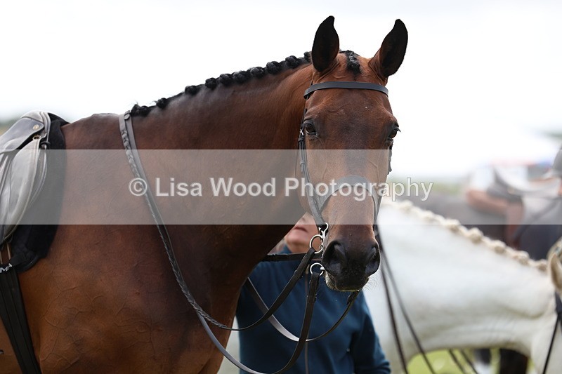 3E7A1575 - Class 9: Open Hunter