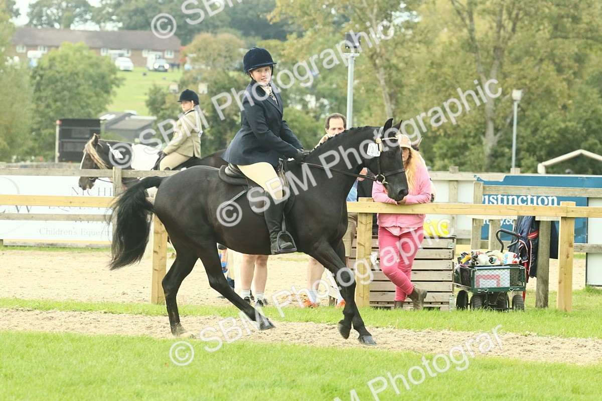 SBM_74102 - S 61 - Show Pony & Show Hunter Pony Ridden