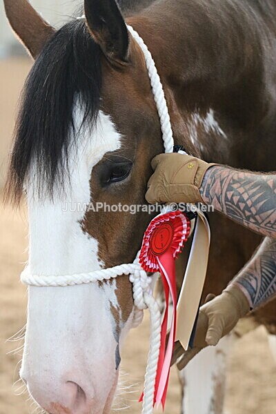 SIAL0310 - Indoor Classes