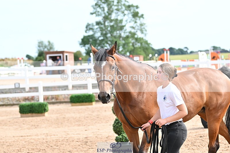 240717A-162321-03435 - Trot Up 4pm to 5pm