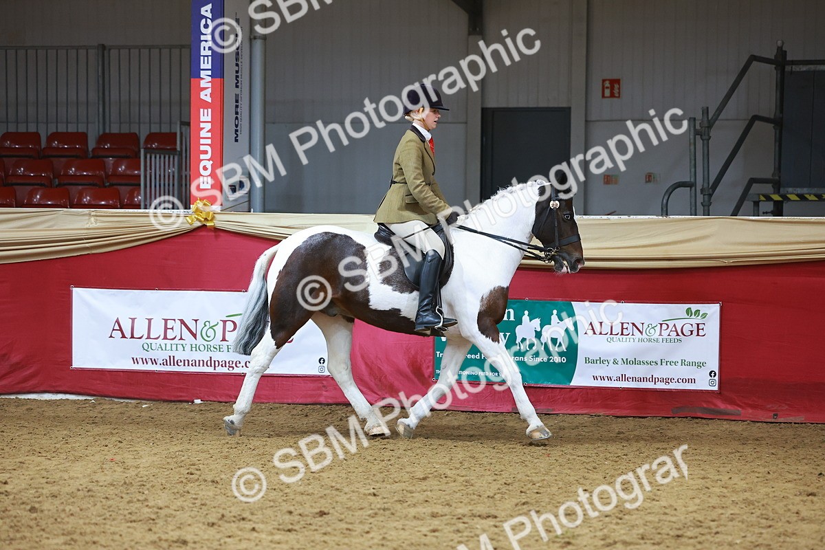 SBM_09393 - Class 102 - HOYS Veteran Qualifier - Ridden Veteran