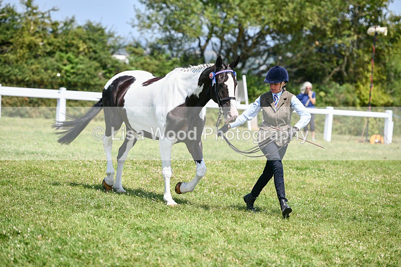 DSC_7852 - Class 65: Coloured Horse 4yrs & Over