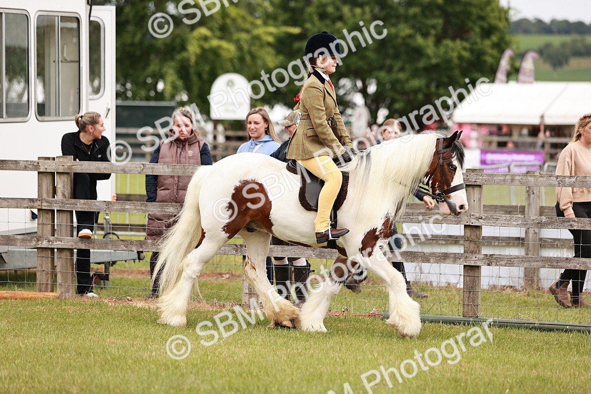 SBM_06113 - Class 39-41 TGCA In Hand and Ridden