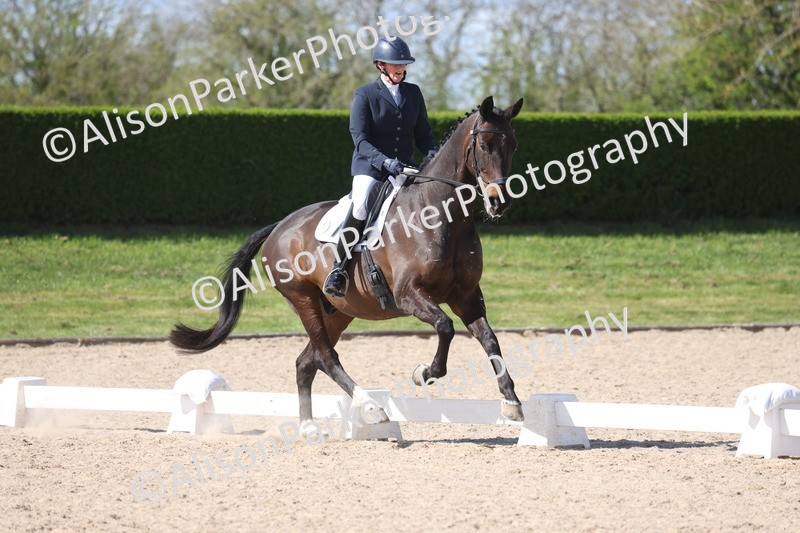 20260405-0565 - Class 7 - Medium 5