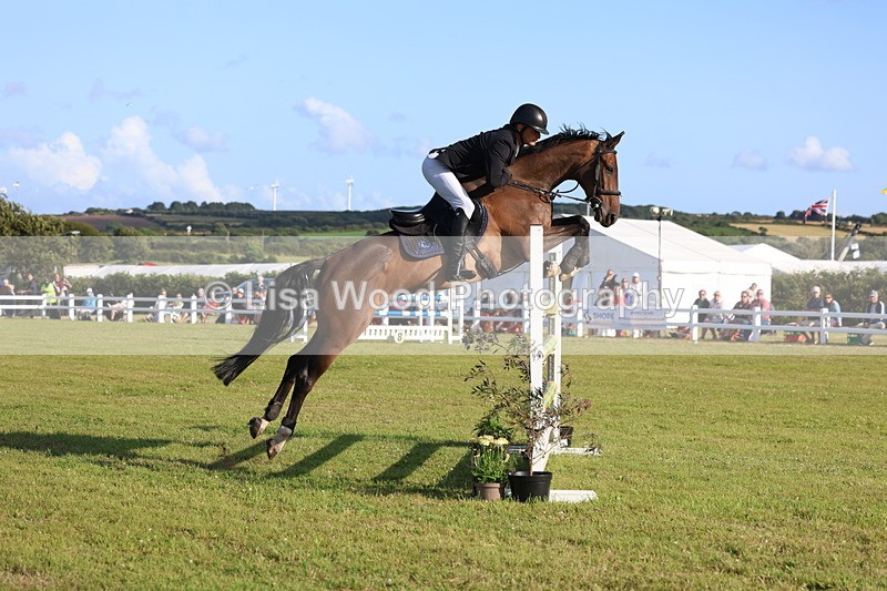 3E7A4506 - Class C: Showjumping Senior Foxhunter