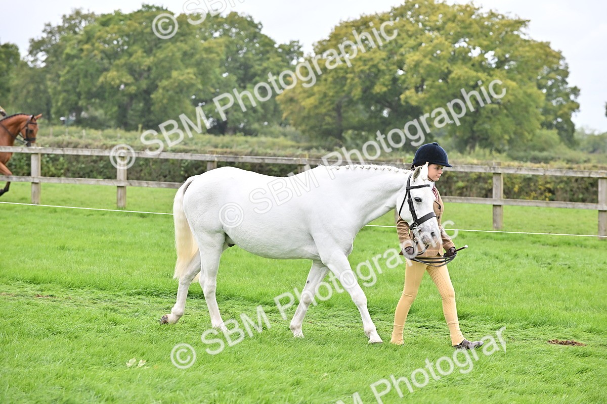 SBM_64927 - S50 - Show Pony & Show Hunter Pony In Hand