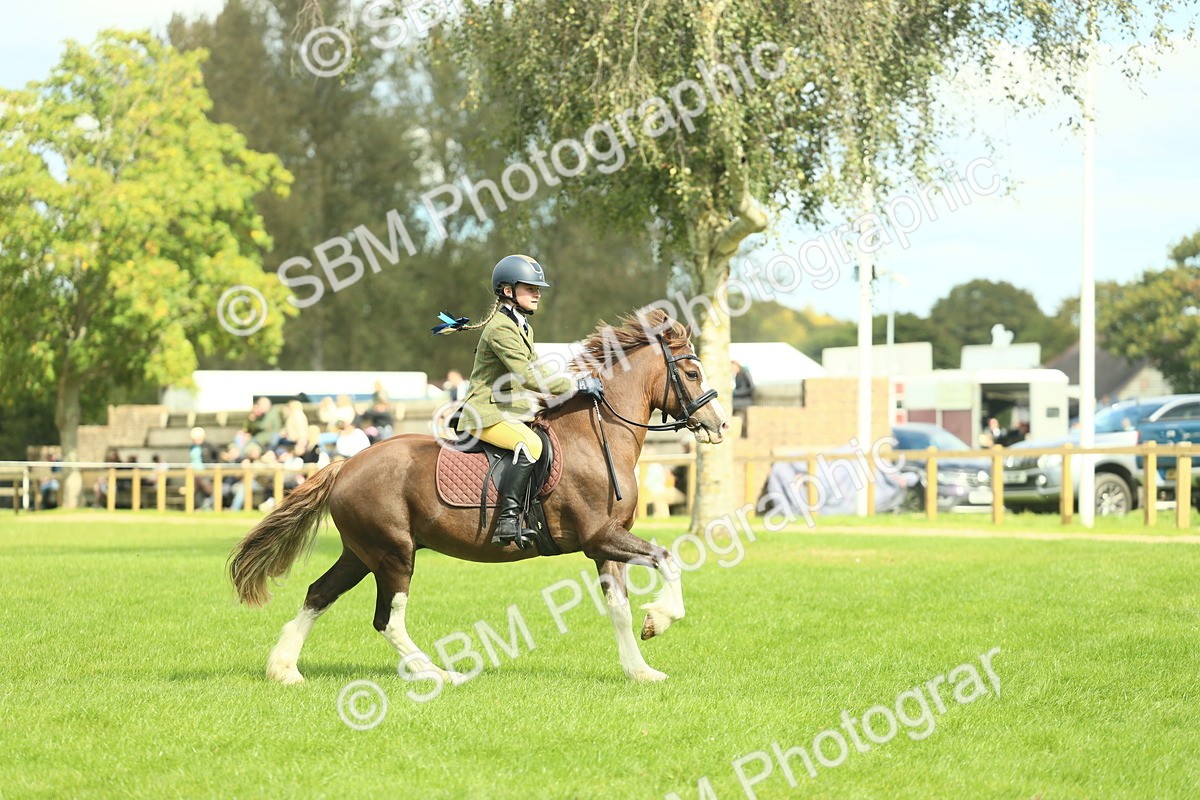 SBM_42833 - S30 - M&M Working hunter Pony