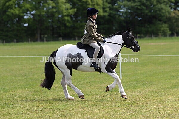 IMG_3374 - Working Hunter