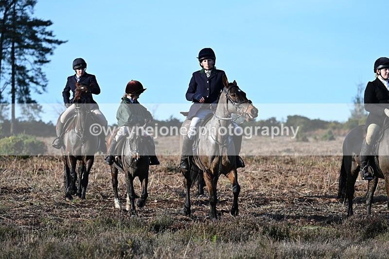 WJ7_7356 - Line 3 (no line 4 or 5)