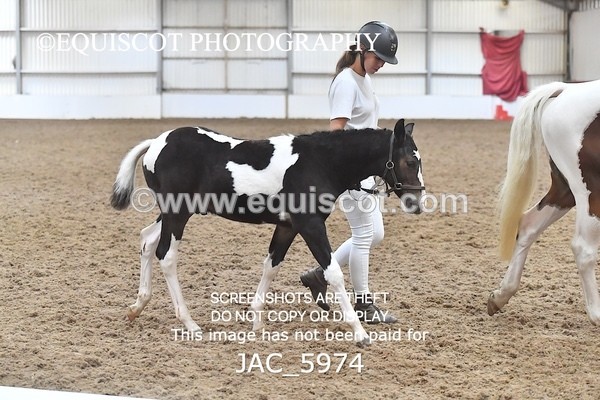 JAC_5974 - 16 Serendipity