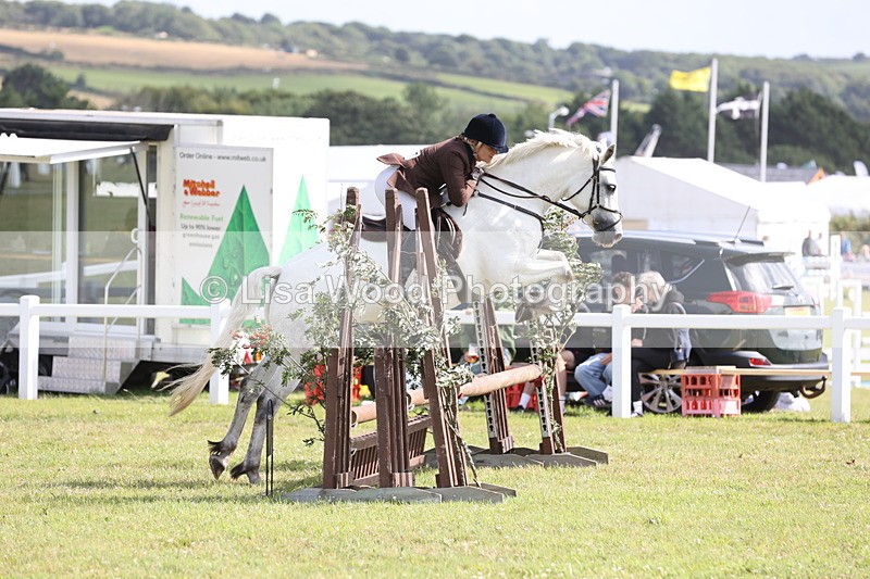 JPP_2584 - Class 20: Working Hunter 70cm