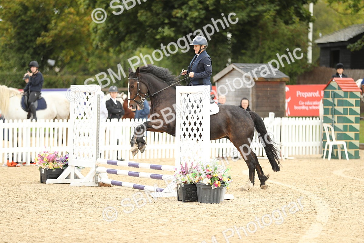 SBM_02005 - J34 - Veteran Rider 50cm