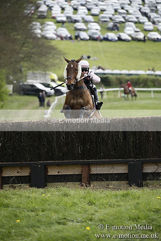 PtP 170417 170 - Old Berks Point-to-Point Lockinge 17/04/17