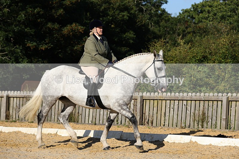 1X9A7544 - Class 7: Novice Ridden Hunter/Hack/Cob/Riding Horse