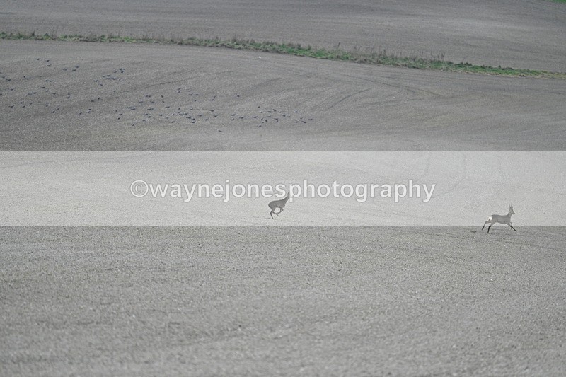 WJ7_7973 - Line 2 A camera