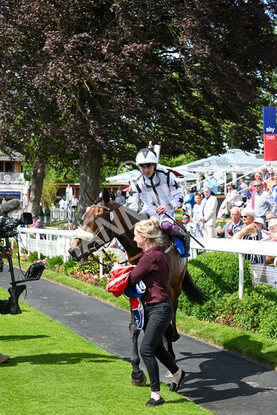 140625-Race 3-Al Qareem-2579 - Race 3 3.00pm Sky Bet Race To The Ebor Grand Cup Stakes