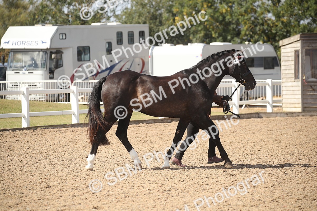 SBM_23415 - Class 604 - 2026 - Area IH Diamond