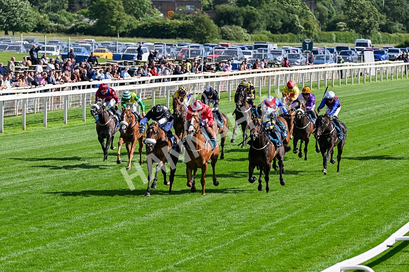 120626-Race 6-Rotokura Belle-0334 - Race 6 16.45pm Dawson Williamson Architects Handicap