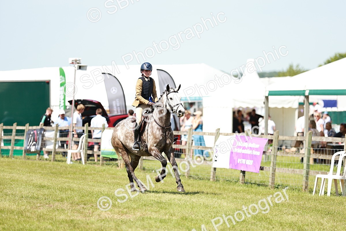 SBM_16434 - Class 110-111 - Training Stakes (70cms 80cms)