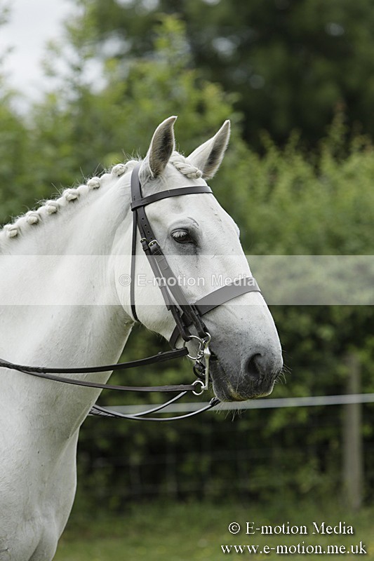BVR160717-2391 - Side Saddle Classes 16/07/17
