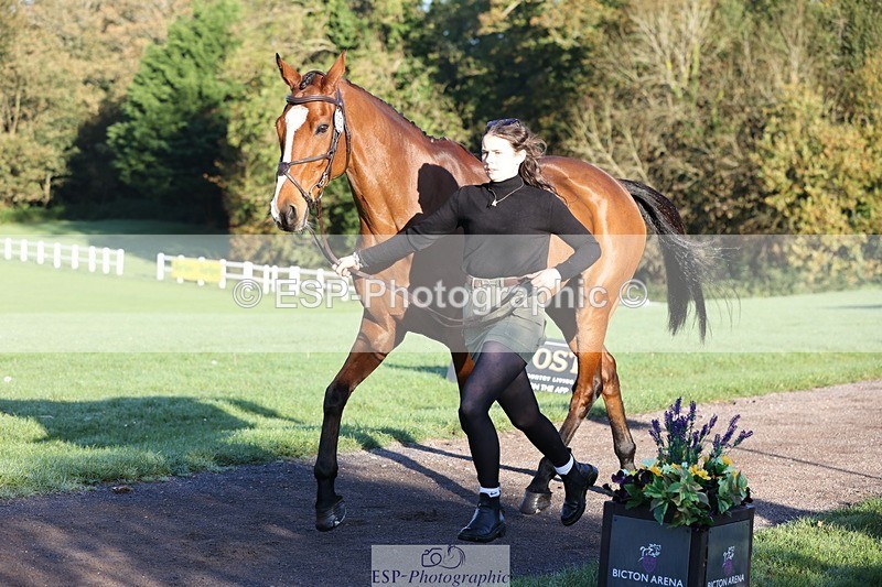 241027-084049-14739 - 383-Kirstin.Elisa.Evans-MONTY.GUIRY