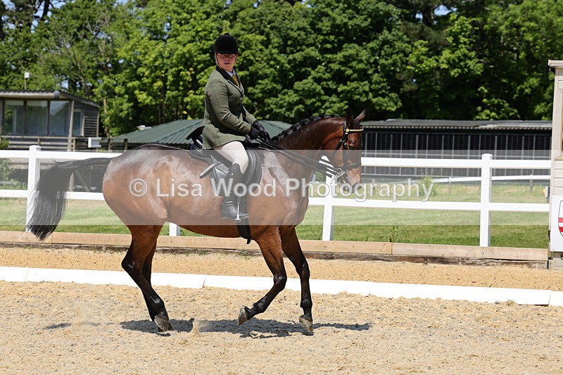 1X9A1864 - Class 12: Ridden Riding Horse/Hack