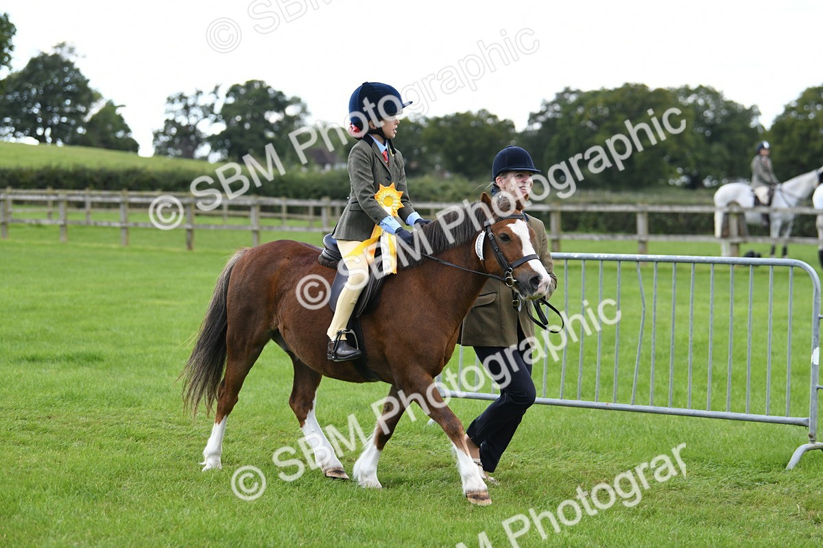 SBM_42712 - S20 - Lead Rein Mountain & Moorland Pony