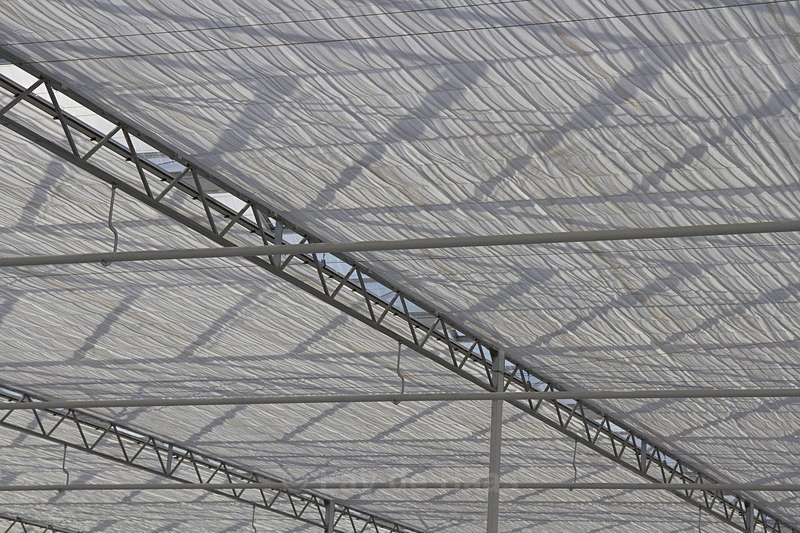 IMG_4581 1 - Manmade lines