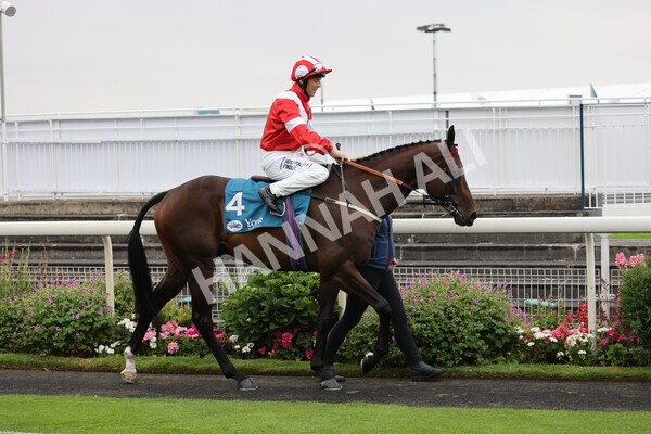 yr22072022r2-16 - Race 2 5.50pm eventmasters.co.uk Stakes