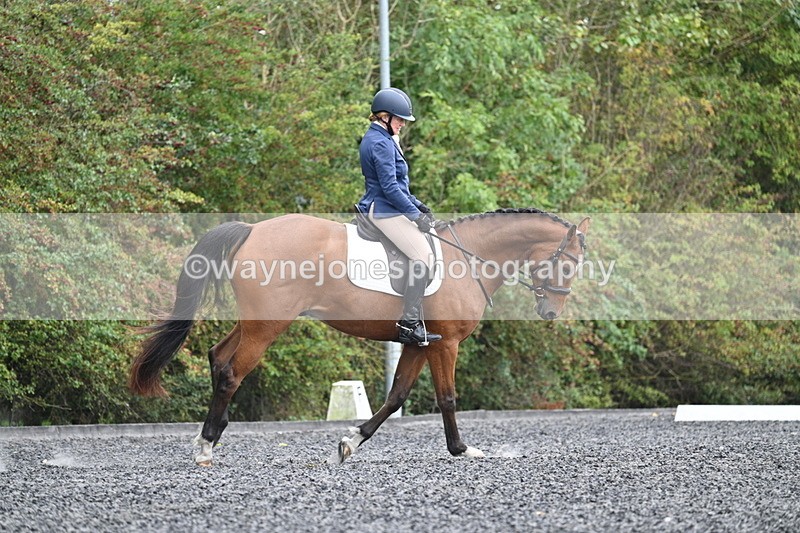 WJ7_4375 - Time 11:43 to 12:09