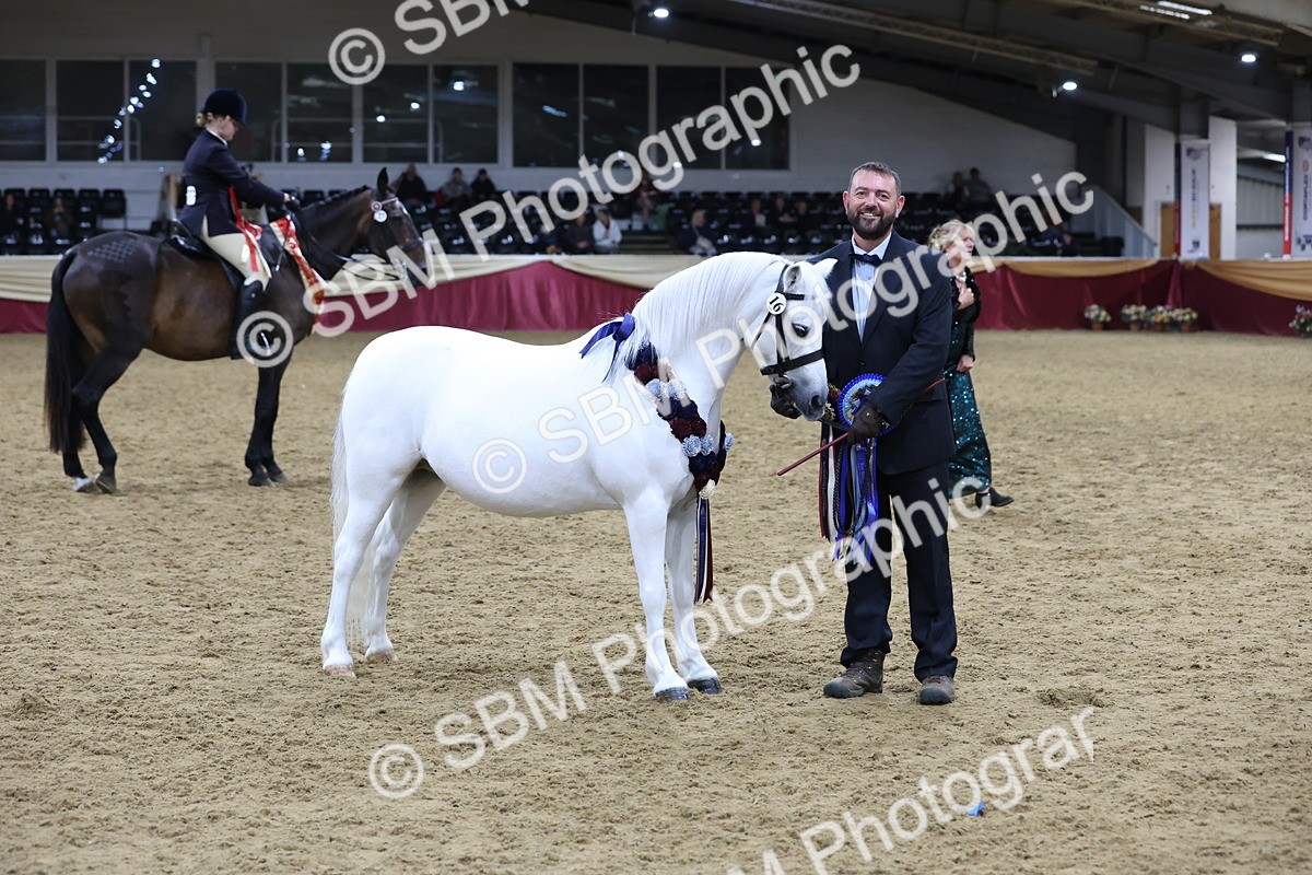 SBM_20390 - Class E - Best Turned Out Champ