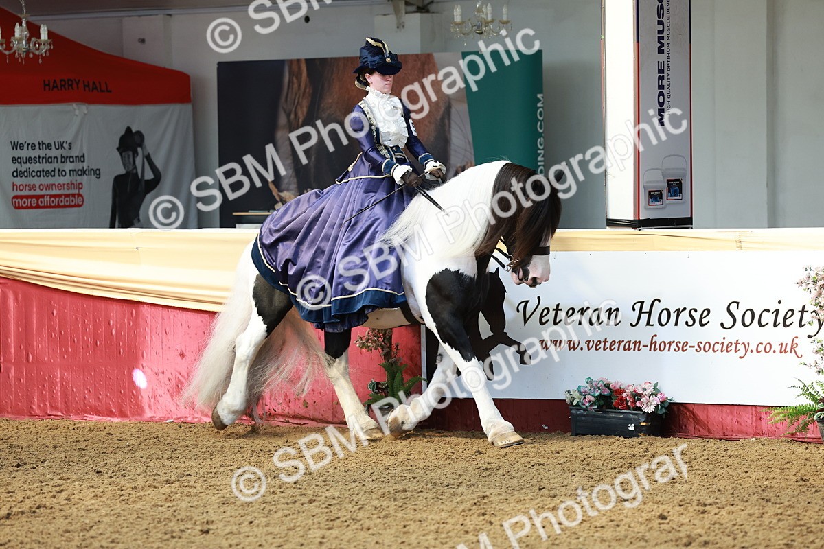 SBM_13731 - Class 106 - Ridden Costume -Astride Adult (15-19)