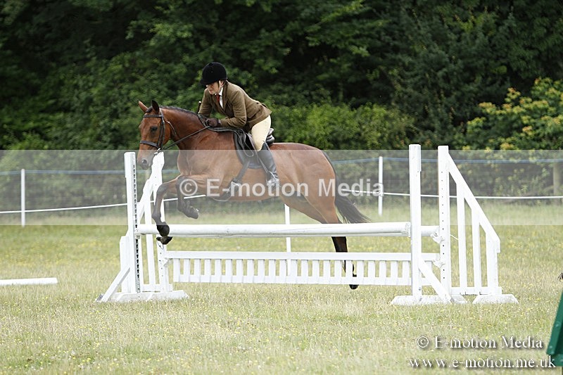 BVR160717-1678 - Ring 3 BVRC Show 16/07/17