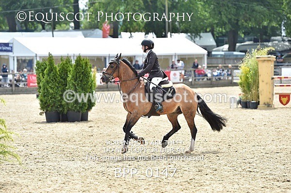 BPP_0147 - RHS 2019 Selection - *Just some random spectator shots so Lucky Dip if you are there!
