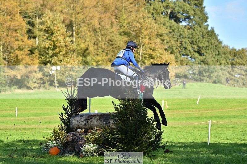 231022-143420-29238 - 343-MIDNIGHT.ROLLERCOASTER-Alison.Lidstone-XC